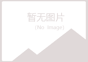 吉隆县紫山材料有限公司